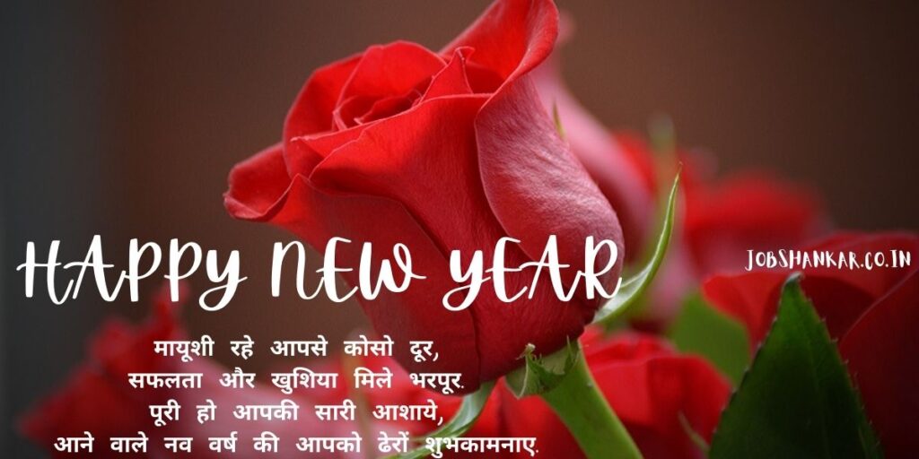 happy new year dil se