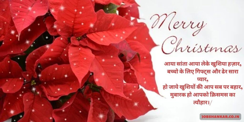 Happy Christmas Wish in Hindi