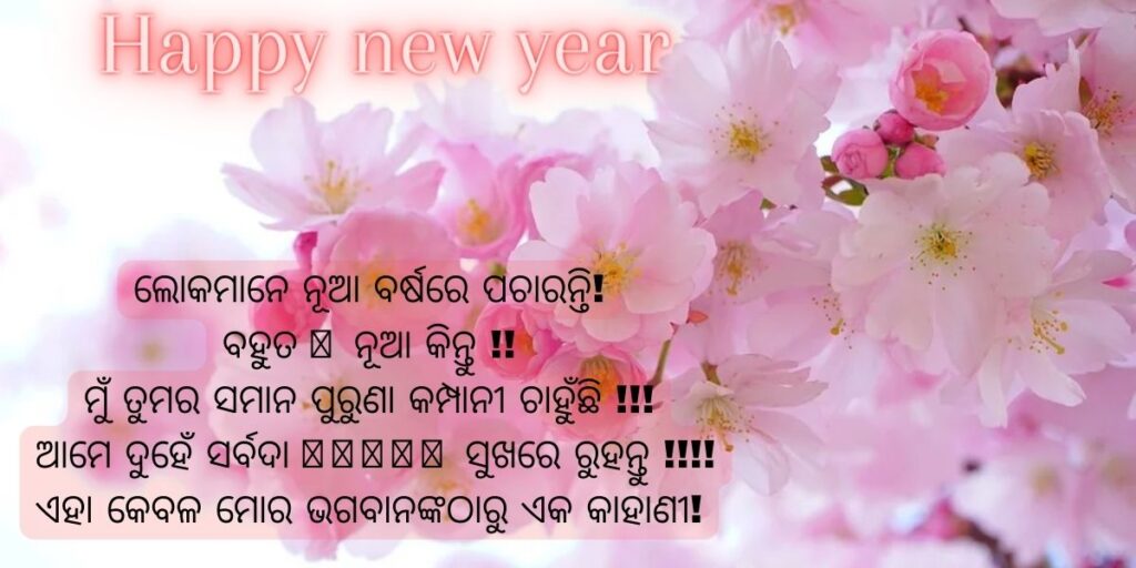 Happy New Year Love Shayari Odia