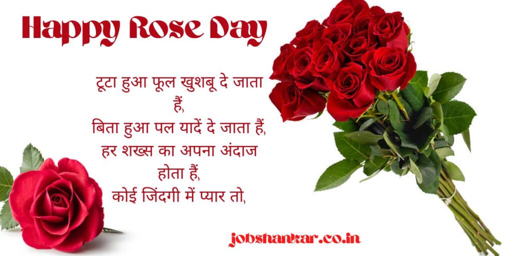rose day

