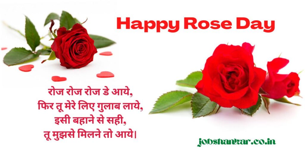 rose day special
