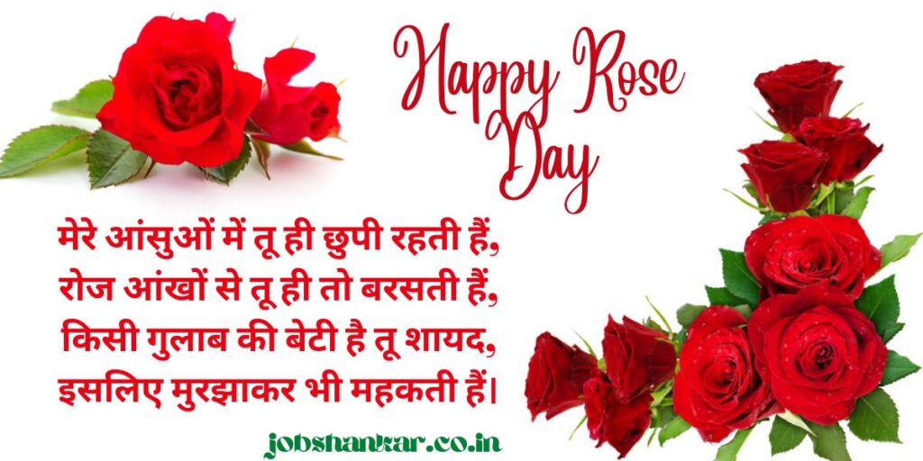 today is rose day
